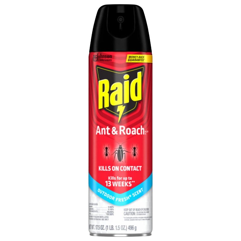 Raid Ant and Roach Killer, Liquid, Spray Application, Indoor, Outdoor, 17.5 oz Aerosol Can