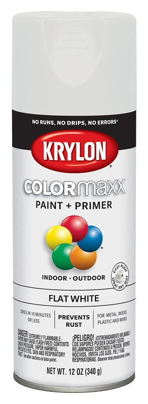 Krylon Enamel Spray Paint, 12 oz Can, 25 sq-ft Coverage Area, Solvent Base, Flat, White